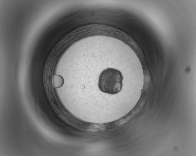 X0000116340765201001131045