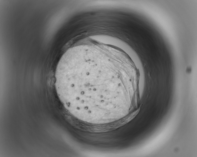 X0000116340766201001131045