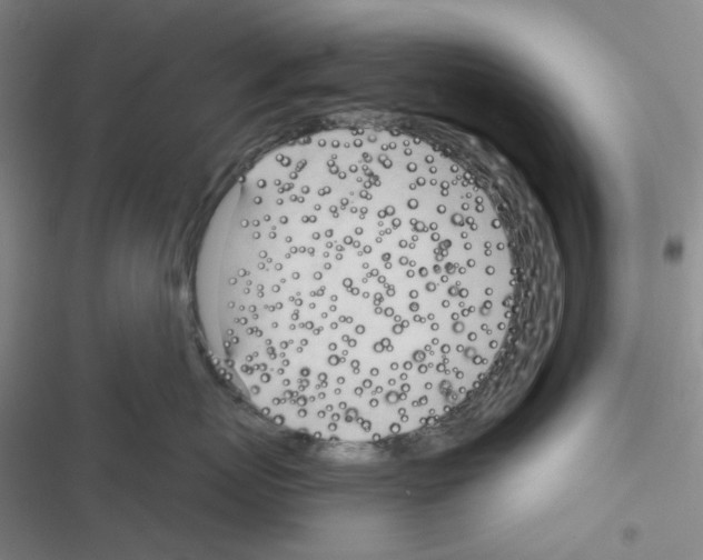 X0000116340767201001131045