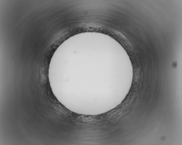 X0000116340774201001131044