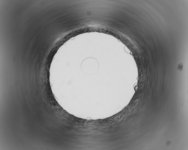 X0000116340776201001131044