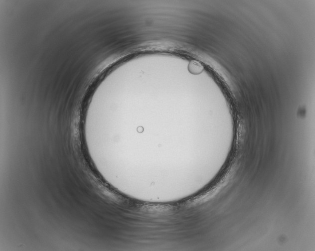 X0000116340778201001131044