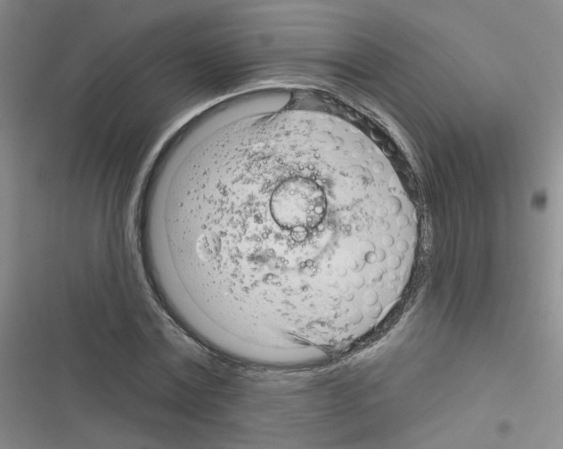 X0000116340779201001131044