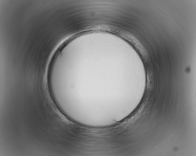 X0000116340780201001131044