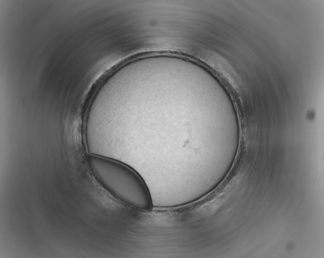 X0000116340781201001131044