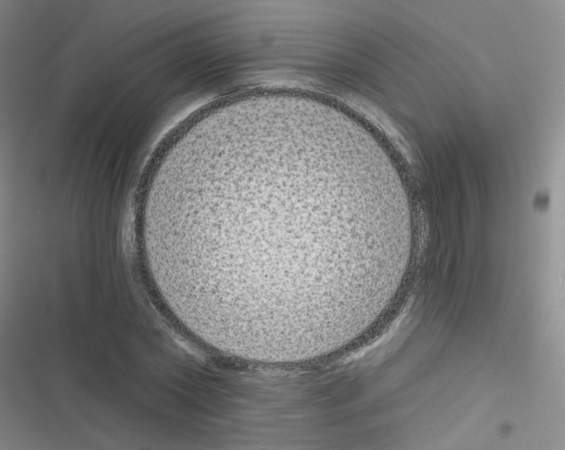 X0000116340782201001131044