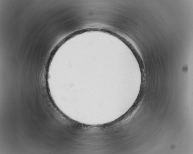 X0000116340783201001131044