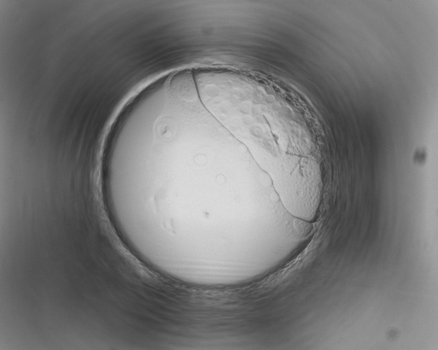 X0000116340784201001131044