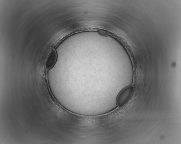 X0000116340785201001131044