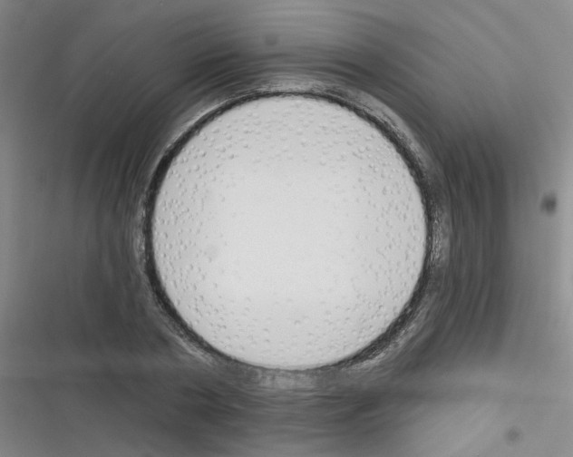 X0000116340786201001131044