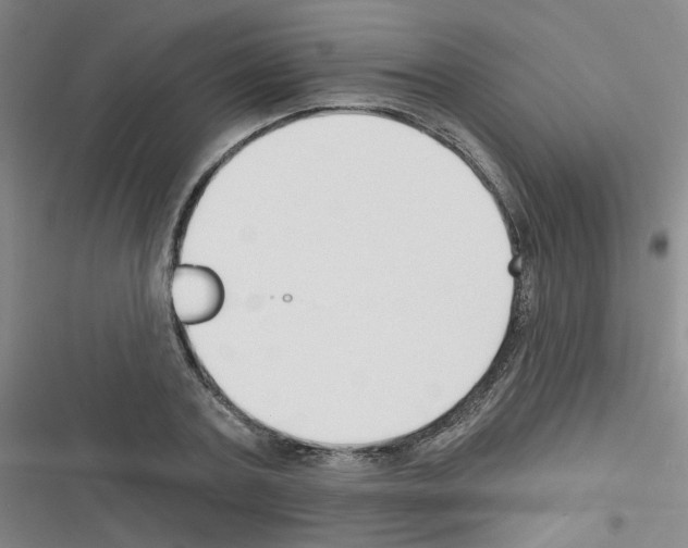 X0000116340787201001131044