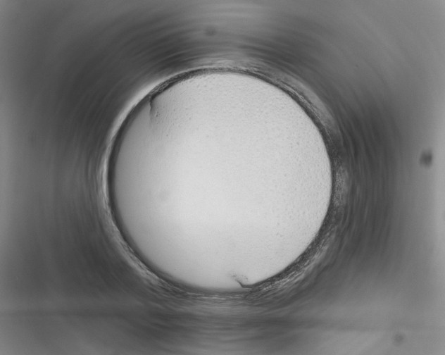 X0000116340788201001131044