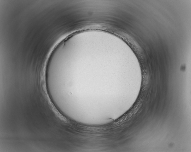 X0000116340792201001131044