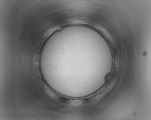 X0000116340793201001131044