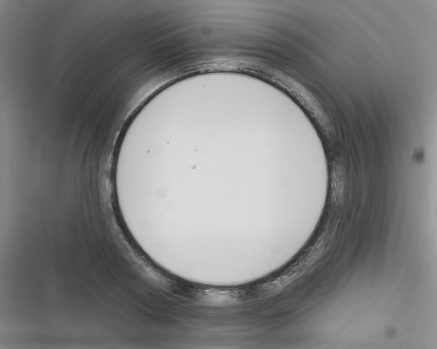 X0000116340794201001131044