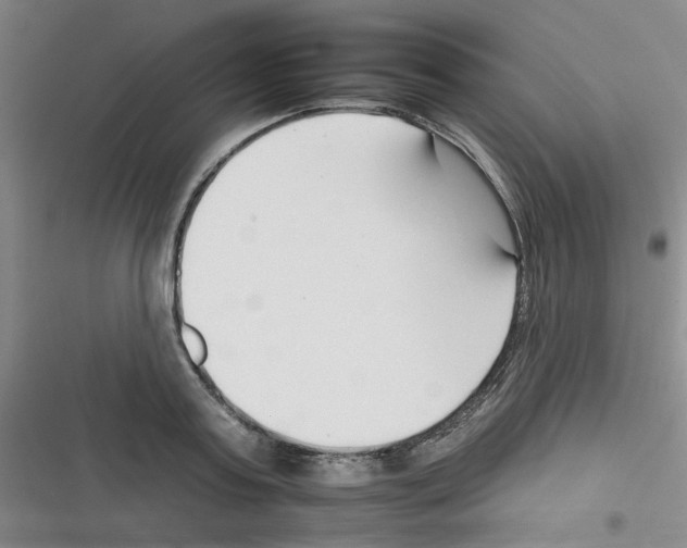 X0000116340795201001131044