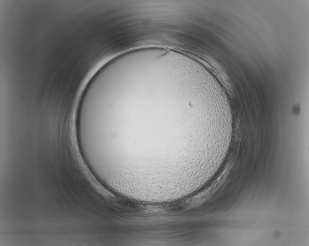 X0000116340796201001131044