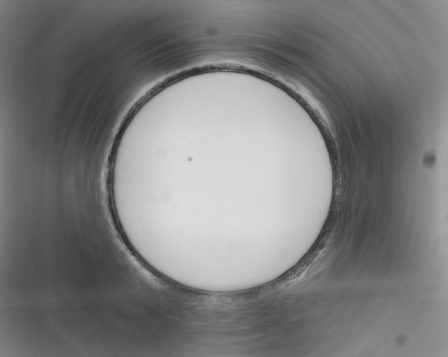 X0000116340799201001131044