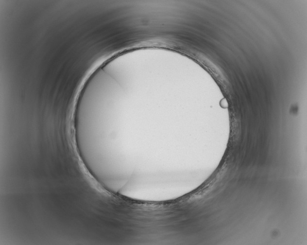 X0000116340800201001131044