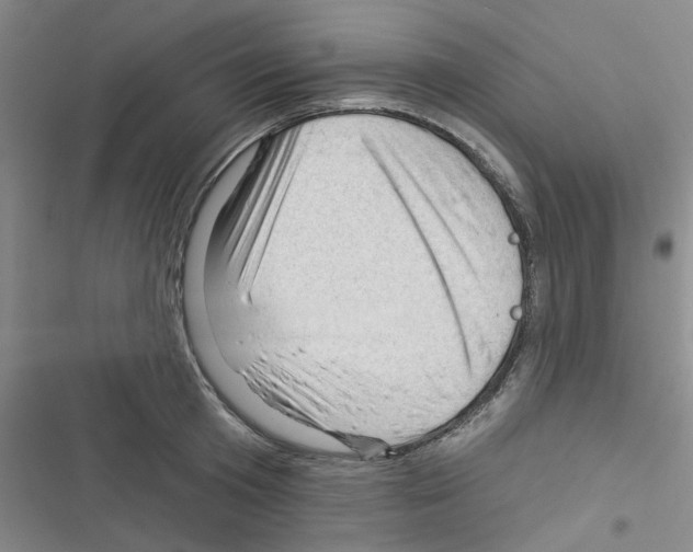 X0000116340801201001131044