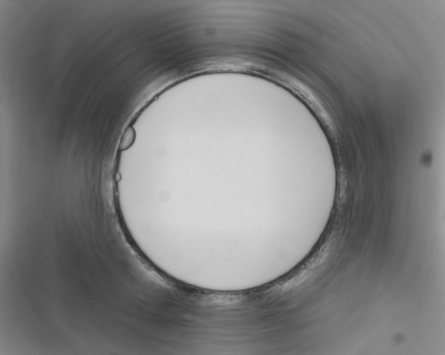 X0000116340802201001131044