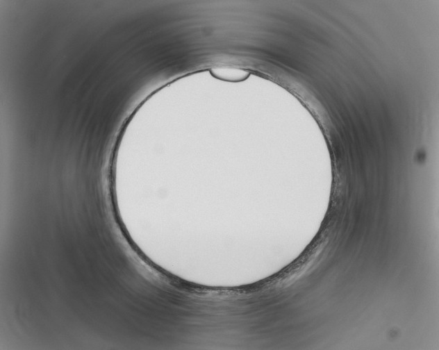 X0000116340803201001131044