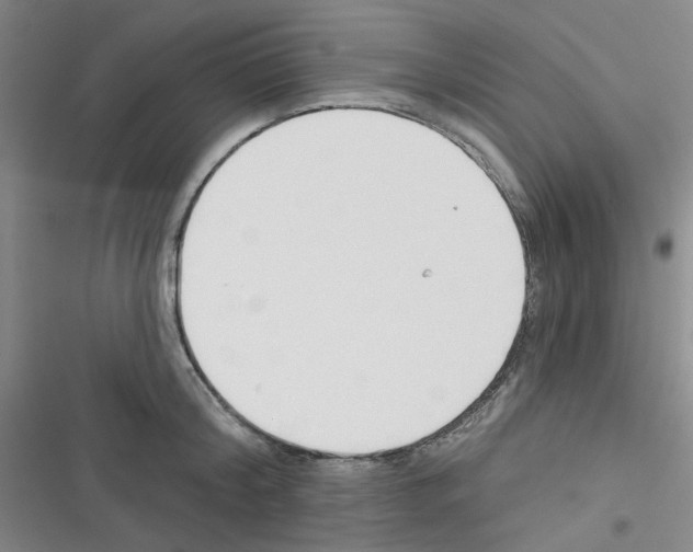 X0000116340804201001131044