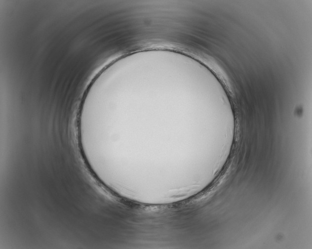 X0000116340806201001131044