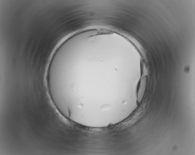 X0000116340807201001131044