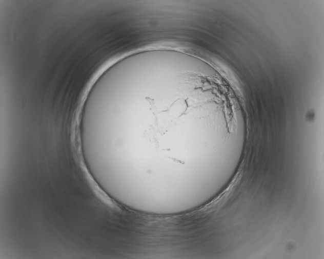 X0000116340808201001131044