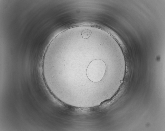 X0000116340810201001131044