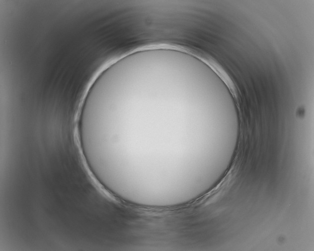 X0000116340813201001131044