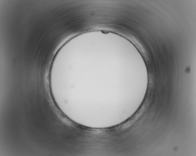 X0000116340814201001131044