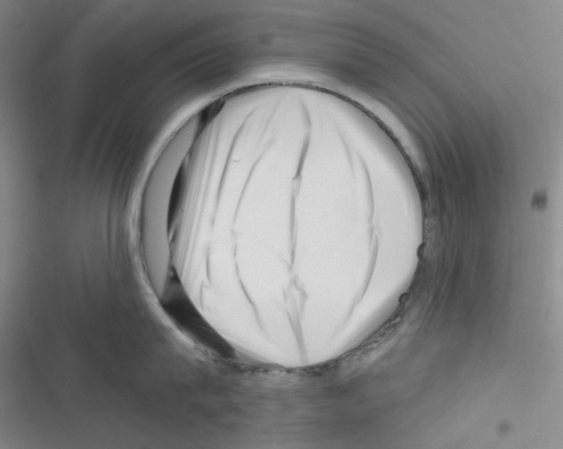 X0000116340815201001131044