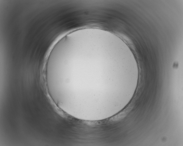 X0000116340816201001131044