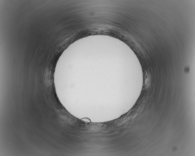 X0000116340819201001131043