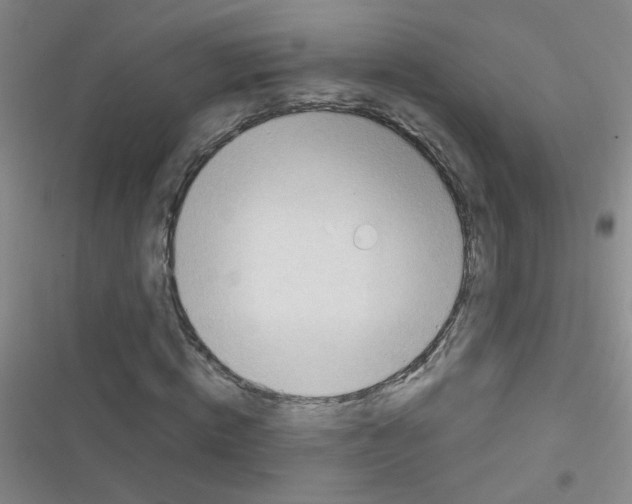 X0000116340820201001131043