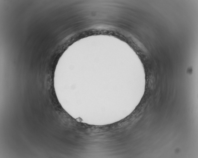 X0000116340821201001131043