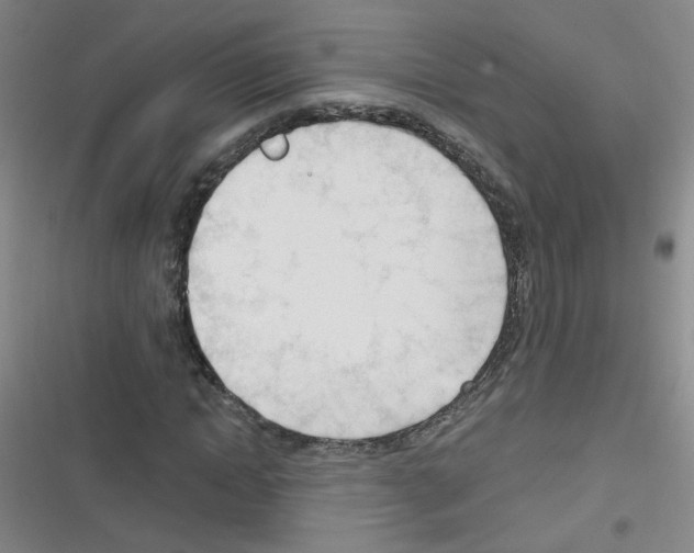 X0000116340822201001131043