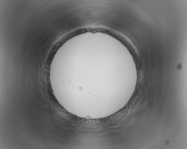 X0000116340823201001131043