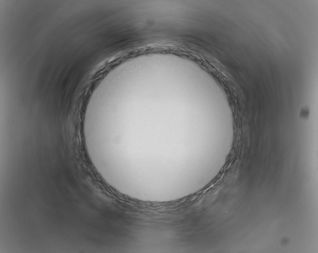 X0000116340824201001131043