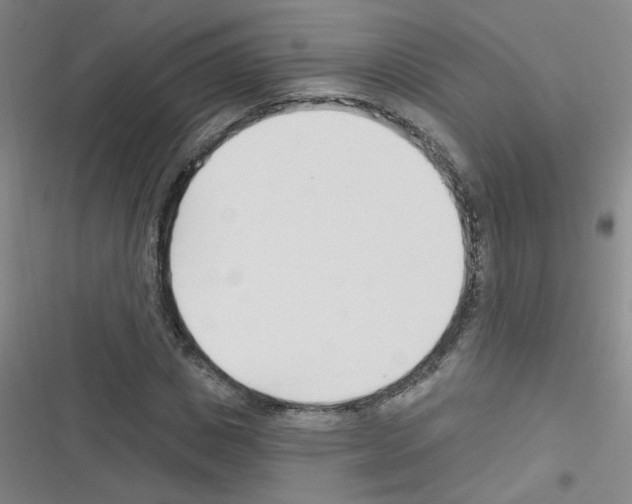 X0000116340825201001131043