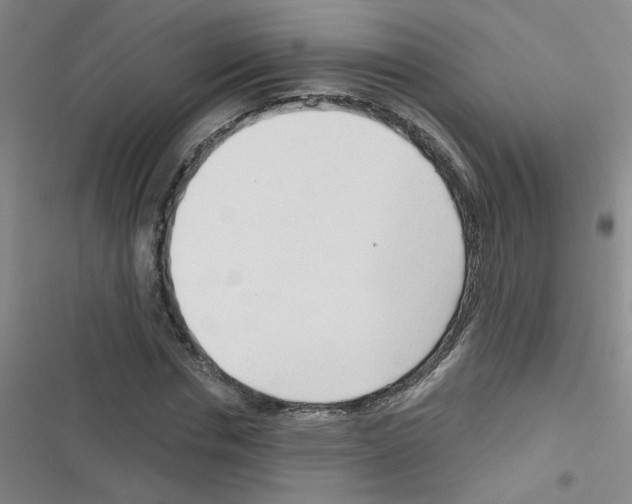 X0000116340826201001131043