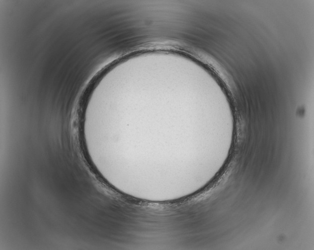 X0000116340827201001131043