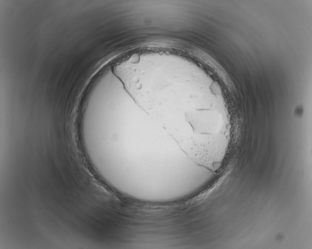 X0000116340829201001131043