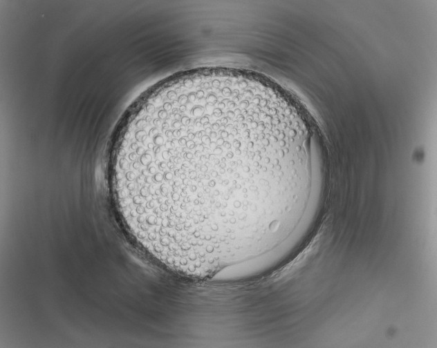 X0000116340830201001131043