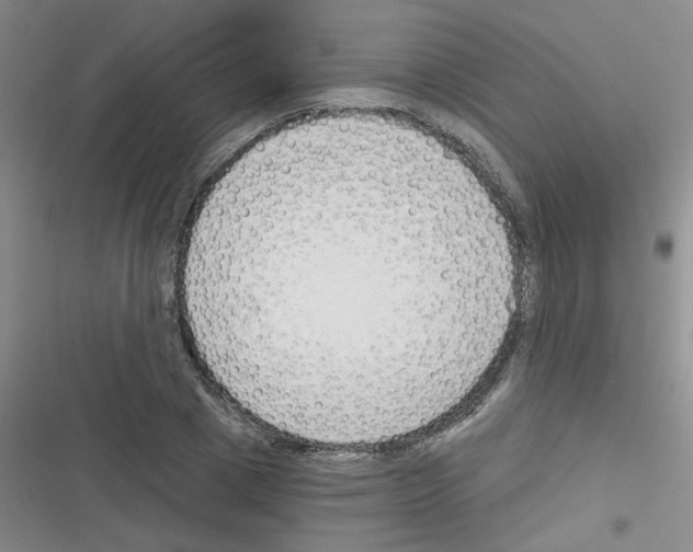 X0000116340833201001131043