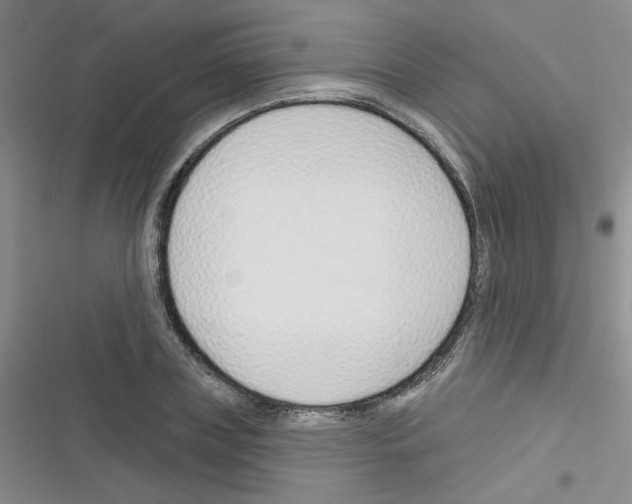 X0000116340835201001131043