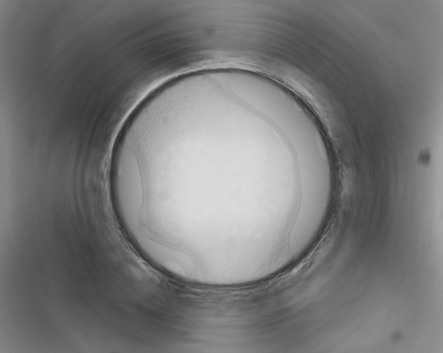 X0000116340836201001131043