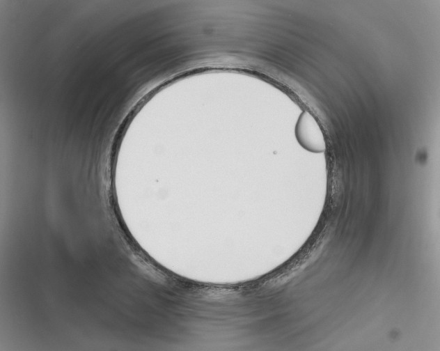 X0000116340837201001131043